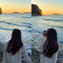 골든웨이브 | 태안 골든웨이브 펜션 1인6만원 무제한바베큐 불멍 노을오션뷰