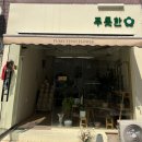 꽃차 소믈리에 3급 | [평택역 꽃집 푸릇한] 꽃바구니부터 부케 원데이 클래스까지 가능한 애견동반 꽃집 추천