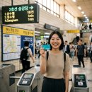 동행플러스 | 기후동행카드 플러스 출시! 교통비 환급부터 무제한 이용까지 한 번에 총정리