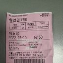 레드향 민박 이미지