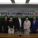 피엔제이 이미지