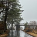송영농장 | 국립공원 속 유후인 료칸 쿠오리테이, 시오(소금)룸 2박 노천탕 대욕탕 후기