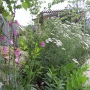 자라는 씨앗 이미지