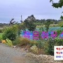 황산농협주유소 이미지