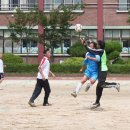 내기초등학교 이미지