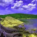 생활 명리학 이미지