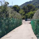 영남농장 이미지