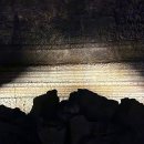 동부부분정비 | 제주 동부 가볼만한곳 만장굴 재개방 | 해설과 함께하니 더 특별했던 용암동굴 탐방