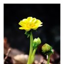 보수초등학교 이미지