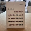 W10. 대전 웨딩촬영네일 헤이글네일 내돈내산 후기
