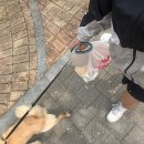 당신의 괄호