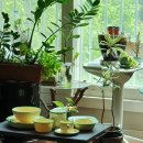 뉴퍼니처 이미지