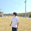솔리드로얄 오버핏 반팔티 추천