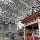 비발디파크오션월드 이미지