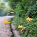 강천산 음용수 이미지