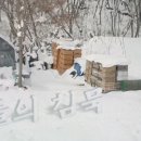 은영세탁 네이버블로그