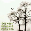 부산대학교 행정대학원 이미지