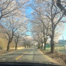 죽촌길 | [청도/카페] 카페 마나나