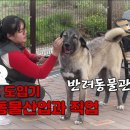 ("성공직업가이드" 방송) - 한국반려동물관리협회, 반려동물관리사 자격증 소개 방송 이미지