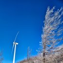 영월읍-10(큰마차 갈림길) | 국내여행 2월 등산 강원도 선자령 눈꽃산행 국내트레킹여행사