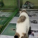 멍냠멍냠 이미지