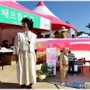 그린민박투 이미지