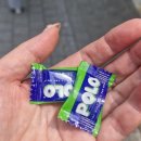 이오푸드 | 연남동 샤브 연트럴파크 맛집 이오 한우구이 스키야끼 평일런치세트 솔직후기