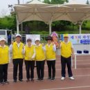 도원체육공원 축구장 이미지