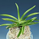 김정우 농장 이미지