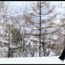 러브레터 이미지