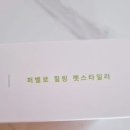 우리실버케어 | [퍼벨로 힐링펫스타일러] 우리집 비숑 제니 &amp; 토이 실버푸들 코코 모질 &amp; 피부 진정 토탈케어 후기