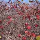 호남목장 이미지