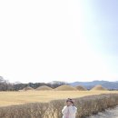 월성파출소 | 경주 황남자전거 전동차 대여 황리단길 아이와 놀거리 내돈내산