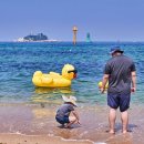 속초해수욕장 이미지