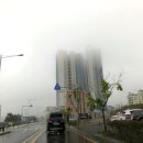 칠남이네한우양념곱창 이미지