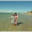 골든코스트 이미지