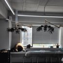 헤어염색 이미지