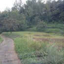 와라농장 이미지