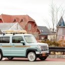 카데렐라 이미지