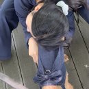 솔지보리
