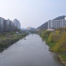 하천(박석교) 이미지