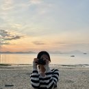 파니 게스트하우스 이미지