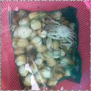 몽산포랑바다랑 이미지