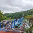 출렁다리 이팝나무길 이미지