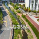 율곡천 4 이미지