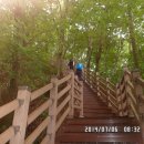 천상데미 이미지