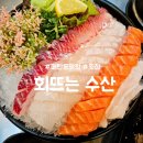 회뜨는수산 | 매탄동 횟집 : 회뜨는수산 : 모듬회 내돈내산 후기