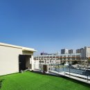 몽구네 애견유치원 이미지