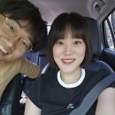 난지천공원 | 서울 고양 나들이 피크닉 장소를 찾는다면 난지천공원(유채꽃밭)