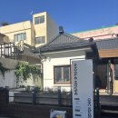 부산시민공원 다솜관 | 위글하우스 부산시민공원점 후기｜부산 반려견 사진관 강아지 증멍·프로필 잘 찍는 곳